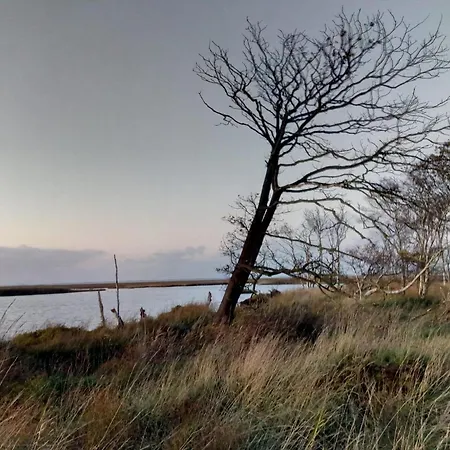 Kibitzblick